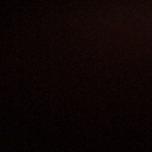 Meet your Posher, Amelia